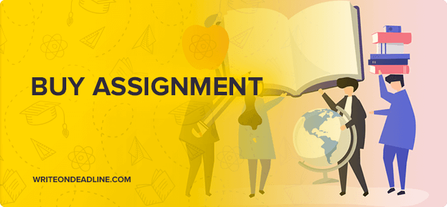 Buy Assignment Online | Great Discounts And Promos
