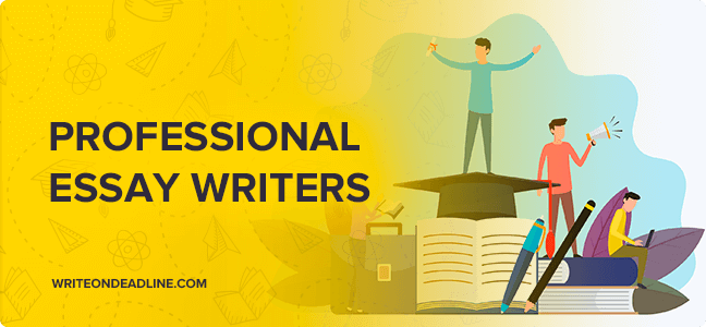 professional essay writers in india