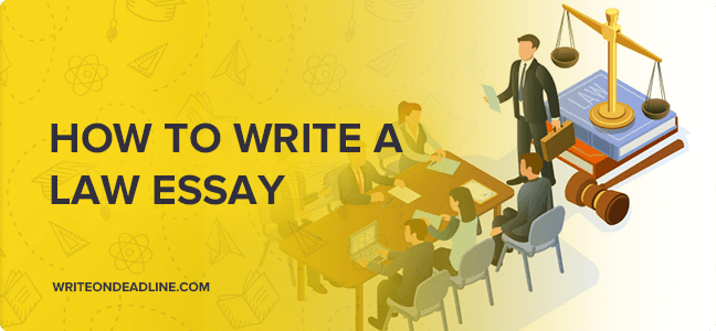 how can i write law essay